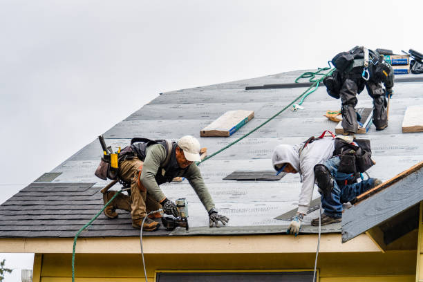 Professional Roofing technician working in Williamston, MI
